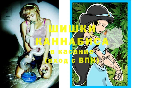 мет Бородино