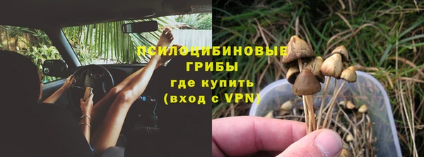 ГАЛЛЮЦИНОГЕННЫЕ ГРИБЫ Бугульма