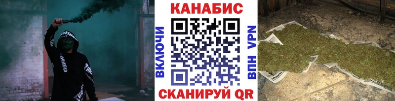 Купить где Таштагол Бошки Шишки SATIVA & INDICA